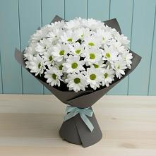 Букет цветов из:  Хризантемы #REPLACE_PRED# Дзержинском