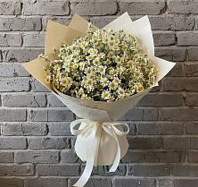 Букет цветов из:  Ромашки #REPLACE_PRED# Дзержинском