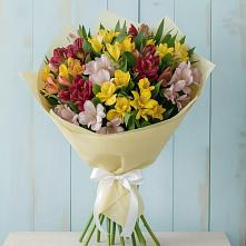Букет цветов из:  Альстромерии #REPLACE_PRED# Дзержинском