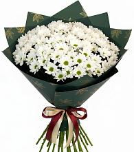 Букет цветов из:  Хризантемы в Дзержинском