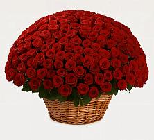 Премиум букет из: Розы в Дзержинском